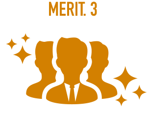 MERIT.3